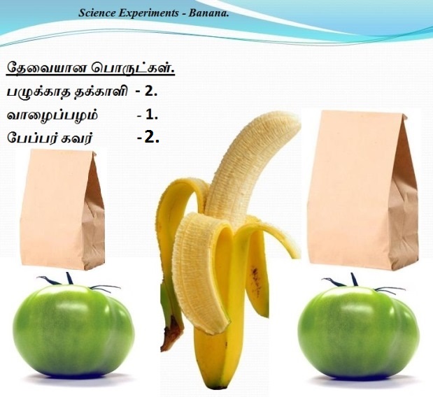 Banana Science Experiments