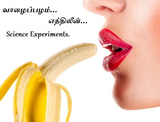 Banana_Ethylene-Science-Experiments